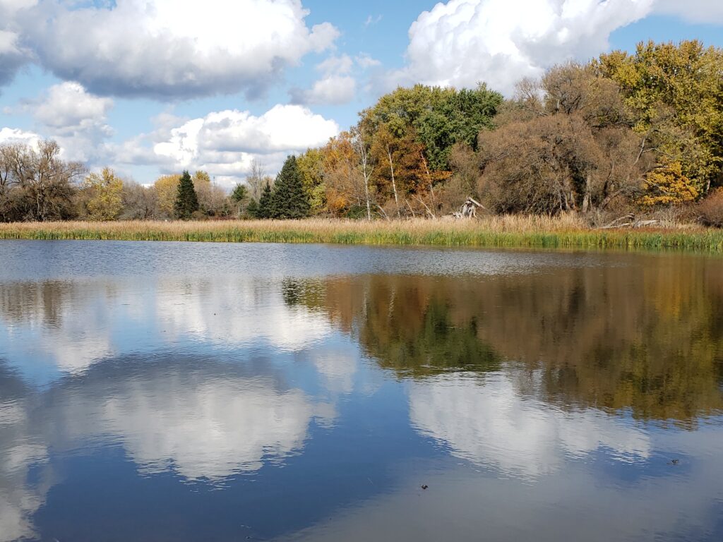 picture of the second marsh
